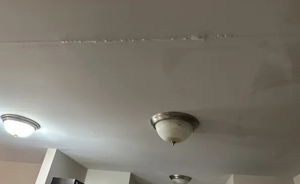 Ceiling Mold Removal in Doral, FL