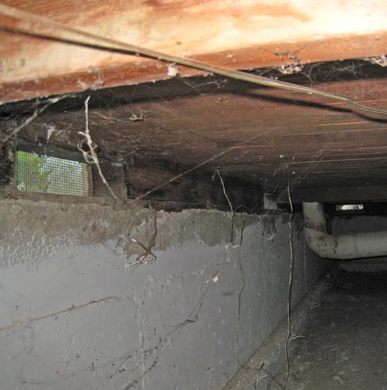Crawl Space Mold Removal in Doral, FL