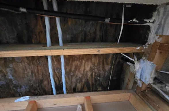 Attic Water Damage Restoration in Doral, FL