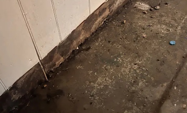 Sewage Backup Cleanup in Doral, FL